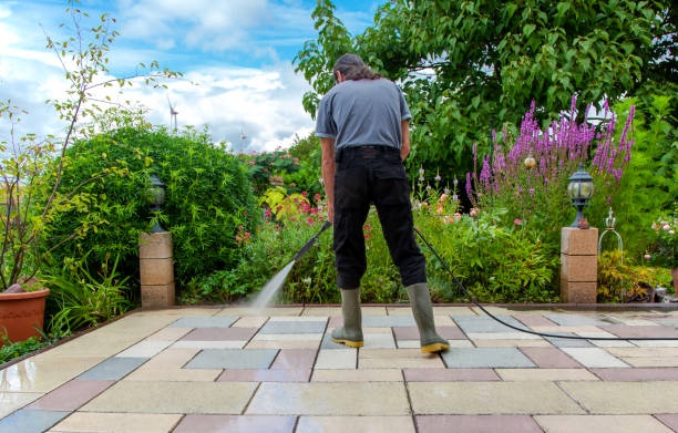 Best Pool Deck Cleaning  in Reedley, CA